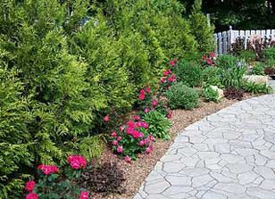 Kohut & Son Landscaping