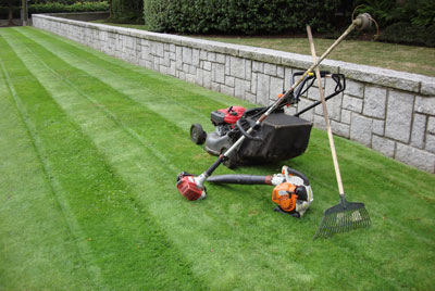 Lawn Maintenance